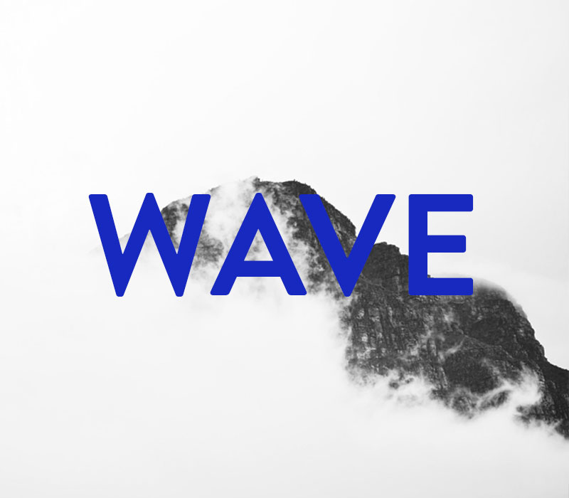 wave logo